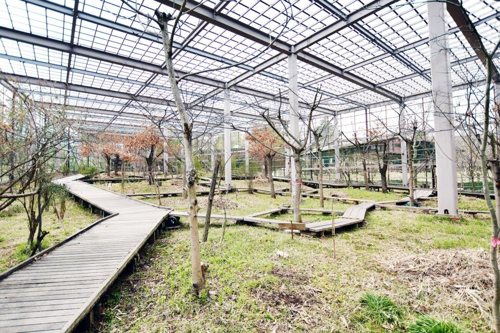 🦋 호쿠토시 오오무라사키 센터 (호쿠토시 오오무라사키 센타) 이미지 7